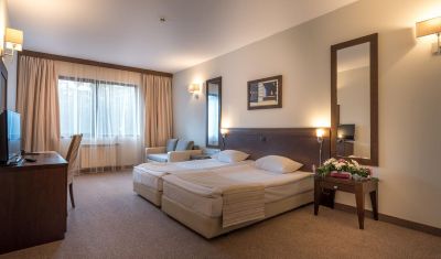 Imagine pentru Hotel Lion Borovets 4* valabile pentru Munte Ski 2024/2025