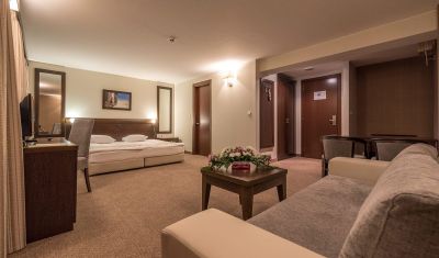 Imagine pentru Hotel Lion Borovets 4* valabile pentru Munte Ski 2024/2025