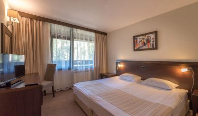 Imagine pentru Hotel Lion Borovets 4* valabile pentru Munte Ski 2024/2025