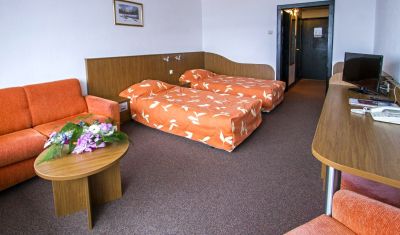 Imagine pentru Hotel Samokov 4* valabile pentru Munte Ski 2024/2025