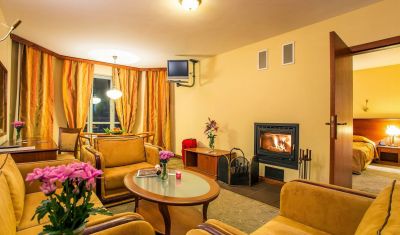 Imagine pentru Hotel Sokol 3* valabile pentru Munte Ski 2024/2025