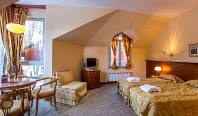 Imagine pentru Hotel Sokol 3* valabile pentru Munte Ski 2025/2026