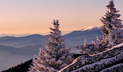 Imagine pentru Villa Zvoncica 4* valabile pentru Munte Ski 2025/2026