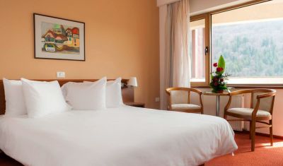 Imagine pentru Hotel New Montana 4* valabile pentru Paste  2023