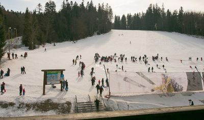 Imagine pentru Cabana Fulg de Nea 3* valabile pentru Paste  2025