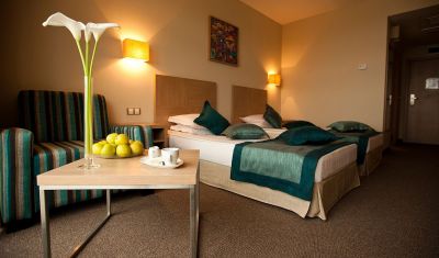 Imagine pentru Hotel Azalia Balneo & Spa 4*  valabile pentru Paste  2025