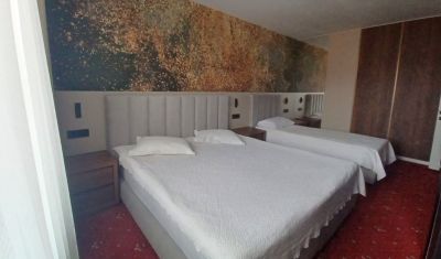 Imagine pentru Hotel Casa Domneasca Cacica 3* valabile pentru Paste  2025