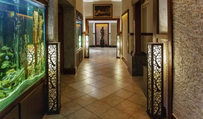Imagine pentru Hotel Delphin Palace 5*  valabile pentru Paste  2025