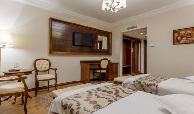 Imagine pentru Hotel Gabriela 3* valabile pentru Paste  2025