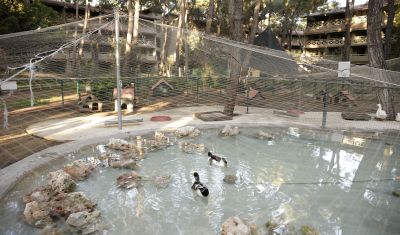Imagine pentru Hotel Marti Myra Resort 5* valabile pentru Paste  2025