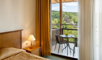 Imagine pentru Hotel Panorama 4*  valabile pentru Paste  2025