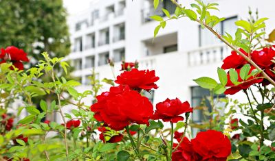 Imagine pentru Hotel White Rock Castle 4*  valabile pentru Paste  2025
