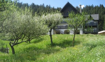 Imagine pentru Pensiunea Bucovina Lodge 4* valabile pentru Paste  2025