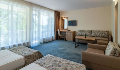 Imagine pentru BSA Hotel Gradina 4*  valabile pentru Paste  2026