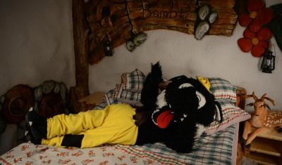 Imagine pentru Club Vila Bran 3 * valabile pentru Paste  2026