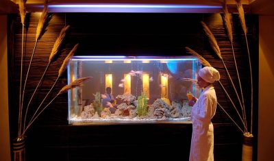 Imagine pentru Delphin Botanik Hotel & Resort 5* valabile pentru Paste  2026