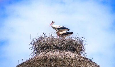 Imagine pentru Green Village Resort 4* valabile pentru Paste  2026