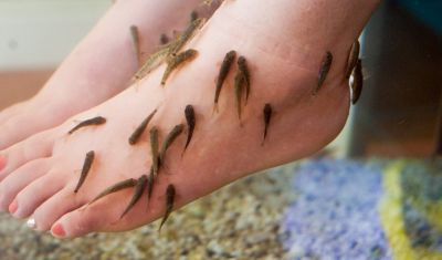 Imagine pentru Hotel Galini Sea View 5*  valabile pentru Paste  2026