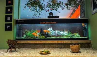 Imagine pentru Hotel Majestic Mamaia 3* valabile pentru Paste  2026