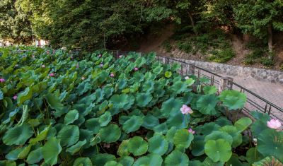 Imagine pentru Hotel Poienita 3* valabile pentru Paste  2026