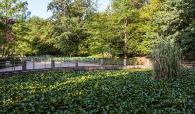 Imagine pentru Hotel Poienita 3* valabile pentru Paste  2026