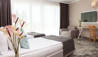 Imagine pentru Hotel Wela 4* valabile pentru Paste  2026