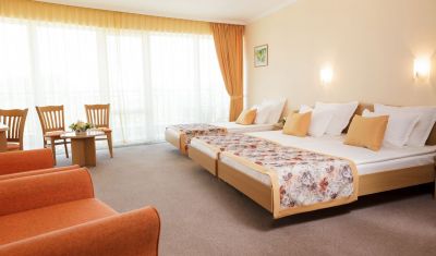 Imagine pentru Hotel Wela 4* valabile pentru Paste  2026