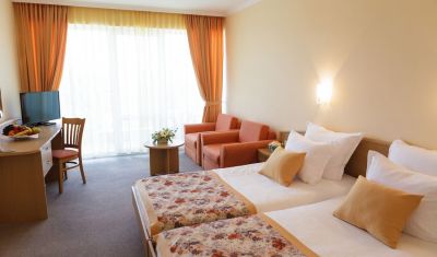 Imagine pentru Hotel Wela 4* valabile pentru Paste  2026