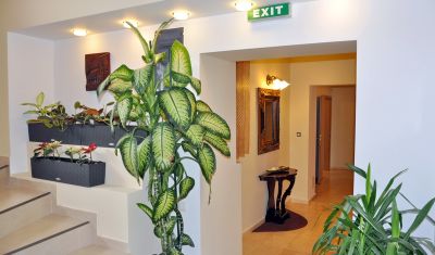 Imagine pentru Pensiunea Ambient 3* valabile pentru Paste  2026