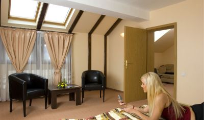 Imagine pentru Pensiunea Ambient 3* valabile pentru Paste  2026