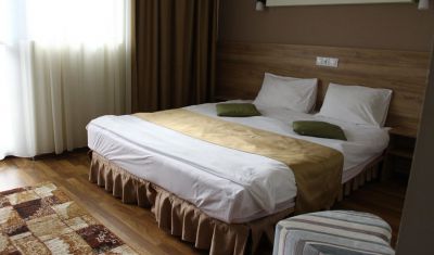 Imagine pentru Pensiunea Holiday 3* valabile pentru Paste  2026