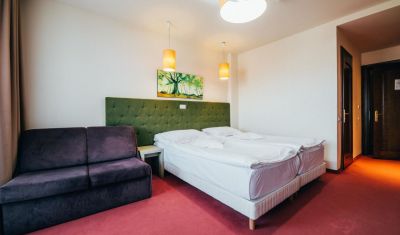 Imagine pentru Pensiunea La Conac in Bucovina 4* valabile pentru Paste  2026