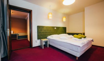 Imagine pentru Pensiunea La Conac in Bucovina 4* valabile pentru Paste  2026