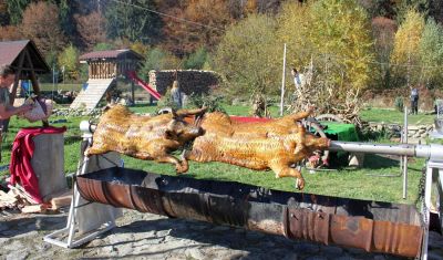 Imagine pentru Pensiunea Miruna 3* valabile pentru Paste  2026