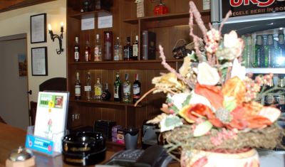 Imagine pentru Pensiunea Stejarul 3* valabile pentru Paste  2026