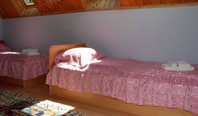 Imagine pentru Pensiunea Stejarul 3* valabile pentru Paste  2026