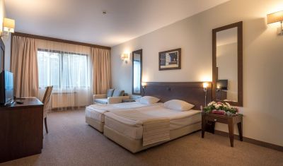 Imagine pentru Hotel Lion Borovets 4* valabile pentru Revelion 2024