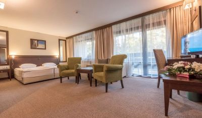 Imagine pentru Hotel Lion Borovets 4* valabile pentru Revelion 2024