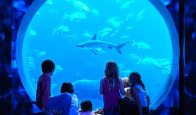 Imagine pentru Hotel Atlantis The Palm 5* valabile pentru Revelion 2025