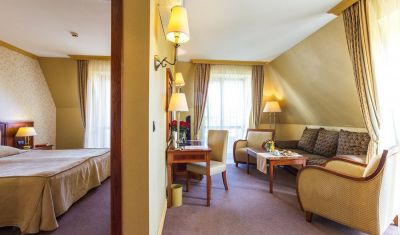 Imagine pentru Hotel & Spa Romance Splendid 4*  valabile pentru Revelion 2025