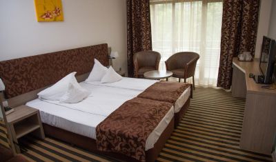Imagine pentru Hotel Tisa 3* valabile pentru Revelion 2025