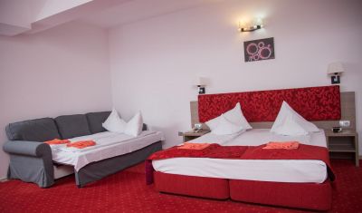 Imagine pentru Hotel Tisa 3* valabile pentru Revelion 2025