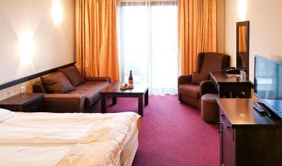 Imagine pentru Hotel Trinity Residence 4* valabile pentru Revelion 2025