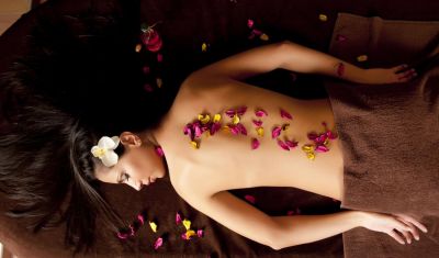 Imagine pentru Hotel Vihren Royal Palace 4* valabile pentru Revelion 2025