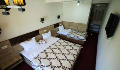 Imagine pentru Pensiunea si Casa Danubia 4* valabile pentru Revelion 2025