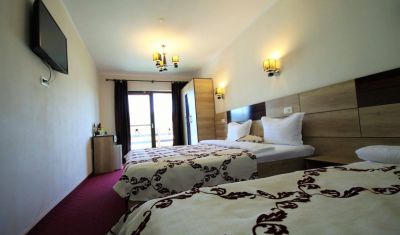 Imagine pentru Pensiunea si Casa Danubia 4* valabile pentru Revelion 2025