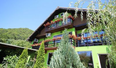 Imagine pentru Pensiunea si Casa Danubia 4* valabile pentru Revelion 2025