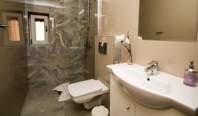 Imagine pentru Pensiunea si Casa Danubia 4* valabile pentru Revelion 2025