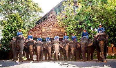 Imagine pentru Thailanda - Revelion 2020 Pattaya si Bangkok 5* valabile pentru Revelion 2025