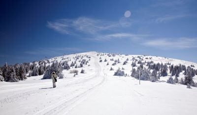 Imagine pentru Hotel Family Angella 4* valabile pentru Revelion 2026